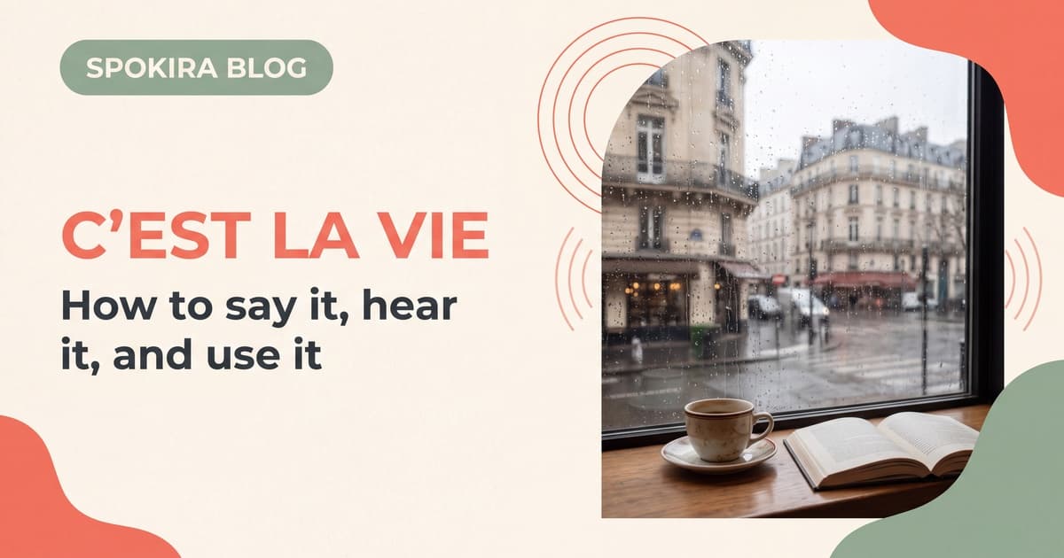 C'est la Vie Meaning: Pronunciation and Real French Usage
