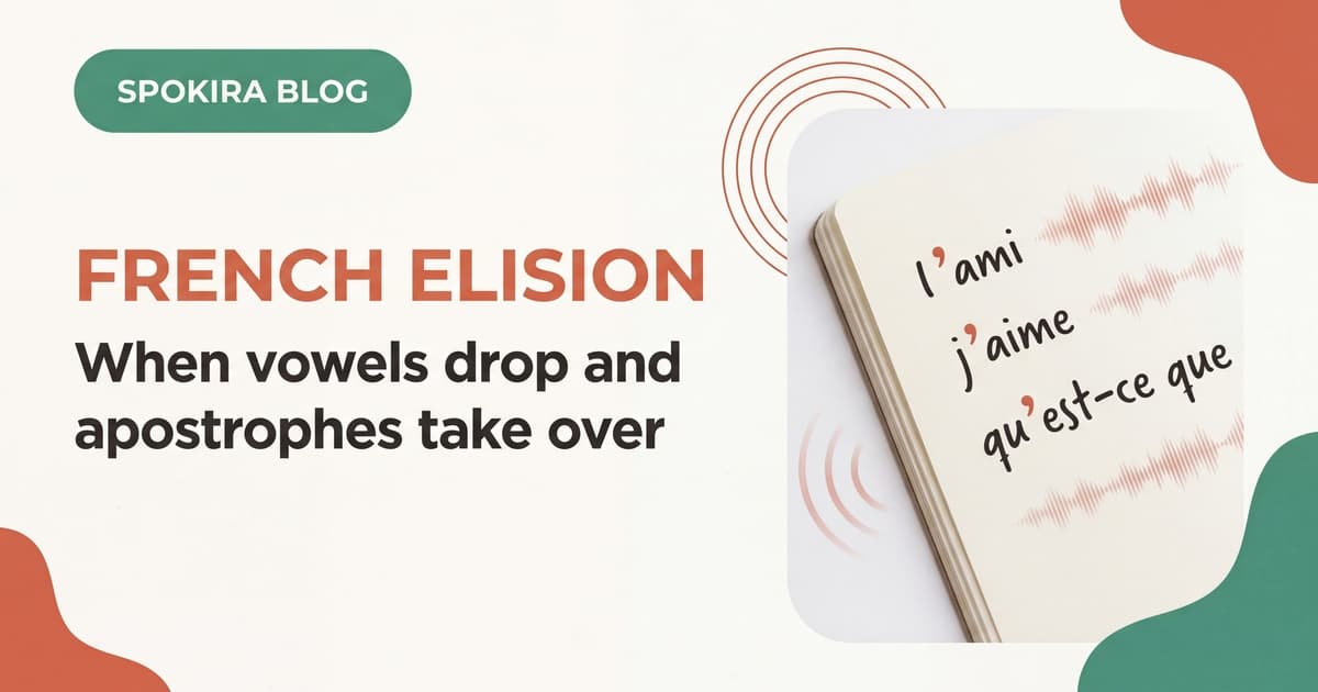 French Elision Rules: When Vowels Drop in Speech